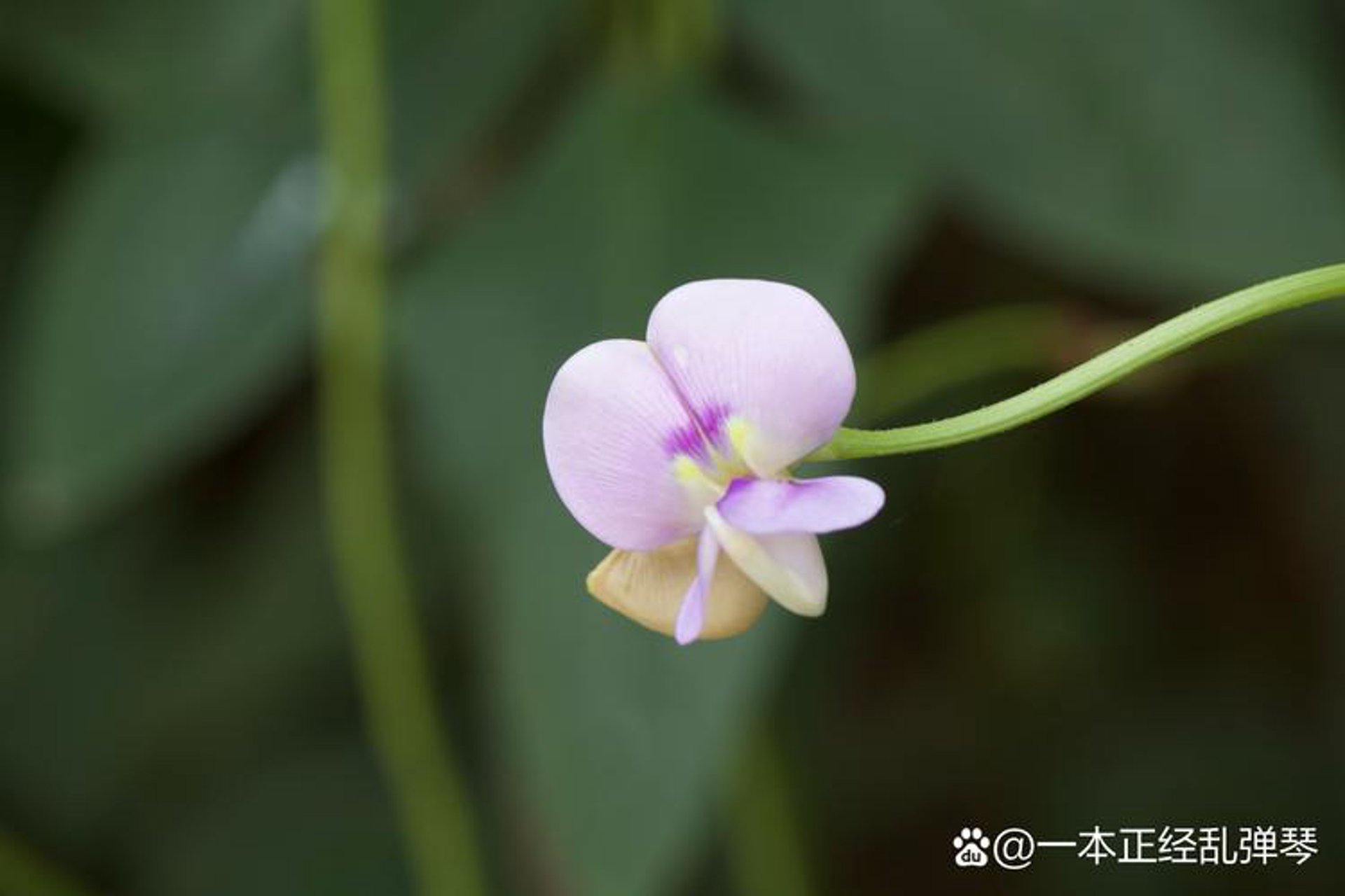 如何选购风光摄影作品
